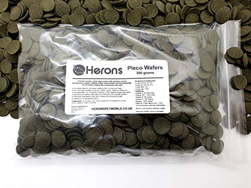HERONS Pleco Wafers [300g] - Spirulina Algae Wafers - Fish Food For All Bottom Feeders - For Plecos, Catfish, Bristlenose