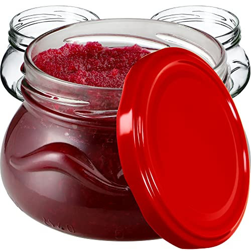 KADAX 10 vasetti per conserve da 300 ml con coperchio a vite fi82 mm, in miniatura per miele e spezie, vasetti per marmellata con coperchio, vasetti ermetici da regalare