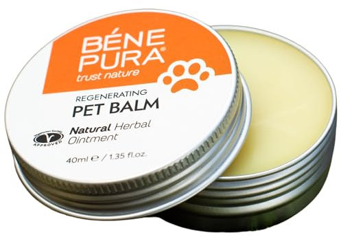 BenePura Hundebalsam, Natürlicher Regenerierender Balsam für Pfoten, Haut und Nase, Sicher zu Lecken und Geruchsneutral, 40 ml