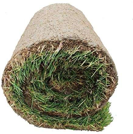 KENTIS - Prato Vero a Rotoli con Diverse Misure a Scelta - Vera Erba Naturale per Giardino ed Esterni - 4 Metri Quadrati