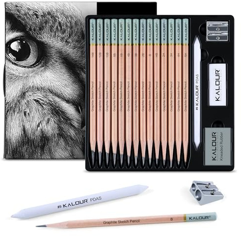 KALOUR Set professionale da 18 pezzi, include matite da 5H a 12B, gomma in vinile, gomma da cancellare, temperamatite e ceppo di miscelazione della carta, ideale per artisti e principianti