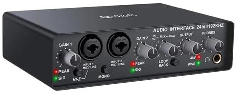 SHEHUALI Mesa de Mezclas de Audio, Tarjeta de Sonido for Ordenador con Interfaz USB Profesional Universal Q24 con Monitor for grabación en de Guitarra eléctrica