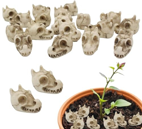 Decorative Stones for Vases | Dragon Skull Design Stones for Vases | 20 Pieces Resin Aesthetic Accessories for Landscape Decor, Crafts, Outdoor Aquarium,
