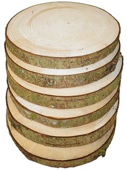 Mercarimus 6 Stück Holzscheiben 20-23 cm Baumscheiben Astscheiben mit Rinde Deko Basteln Floristik Hochzeit