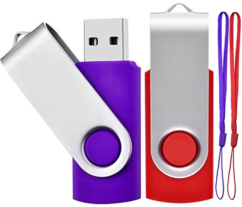 Lot de 2 Clé USB 2 Go USB 2.0 Mémoire Flash Drive Clef USB Pivotantes avec Cordes Bon Cadeau pour Enfant Parents et Amis (2G, Rouge/Violet)
