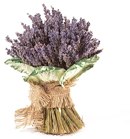 Getrockneter Lavendel aus der Provence Lavendelstrauß mit ca. 600 Stiele Trockenblumen Raumduft Deko Ernte August 2025