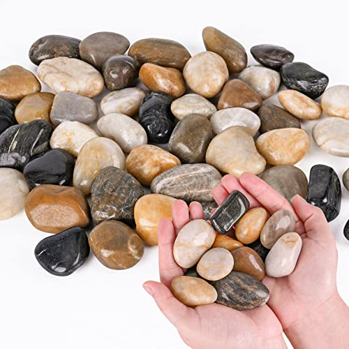 Ciottoli per piante da interno, 1,1 kg, piccole rocce di fiume, 2,5 - 3,8 cm, pietre decorative lucide, ghiaia liscia per acquario, vasi, fioriere, paesaggistica all'aperto e giardino (1134 g)