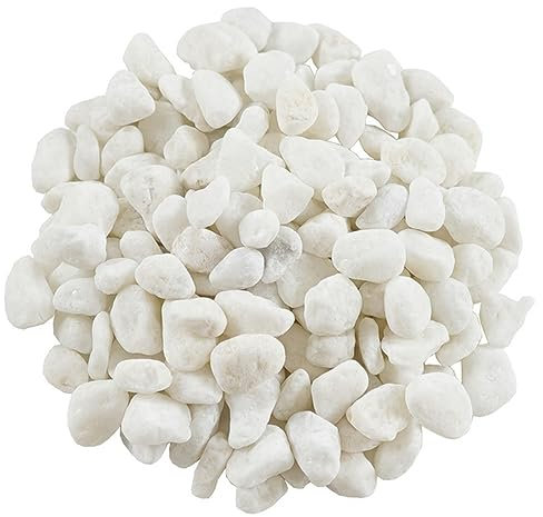 Guijarros de color natural, flor, piedra bonsái, maceta pequeña, planta suculenta, piedras para pecera, grava al aire libre, jarrón decorativo para acuario, 5-8mm, blanco (100g)