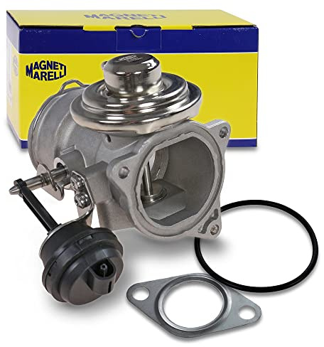 Magneti Marelli 571822112050 Valvola EGR Audi, Ford, Seat, Sko | Compatibile con: AUDI A4 B6, A4 B6 Avant, A6 C5, A6 C5 Avant, FORD GALAXY I, SEAT ALHAMBRA, SKODA SUPERB I, VW MULTIVAN T5