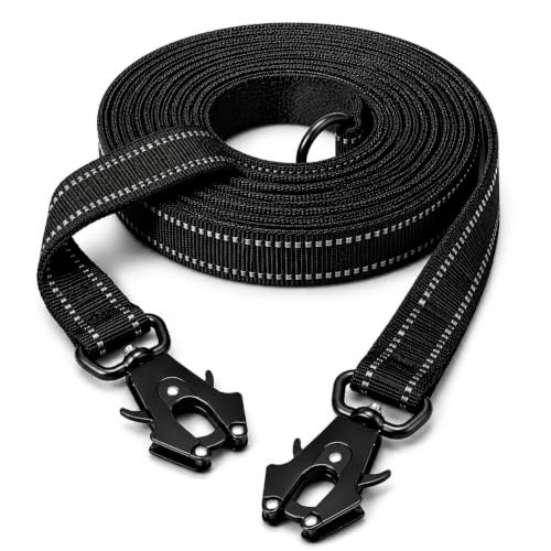 Lina Pet Hundeleine 3m x 2,5 cm, Verstellbare Doppelleine aus Nylon mit Aluminium-Karabiner, Führleine Reflektierend für große und mittelgroße Hunde