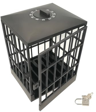 Uqezagpa Support de téléphone sécurisé avec minuterie, boîtier de rangement, mécanisme de verrouillage, distractions sans étude, travail, outil concentré, outil pour étudiant, prison, pour étudiants