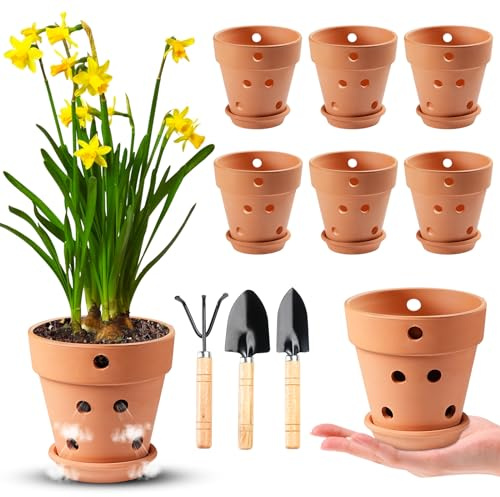 Lot de 6 petits pots à orchidée en terre cuite de 10,2 cm avec trous et soucoupes pour plantes en terre cuite pour plantes d'intérieur et d'extérieur Favorise la circulation de l'air (15,2 cm, 10,2 cm