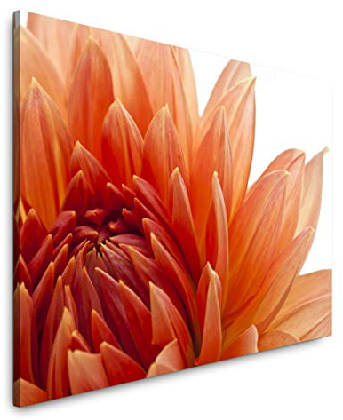 Paul Sinus Art orange Dahlien Blüte 100 x 70 cm Inspirierende Fotokunst in Museums-Qualität für Ihr Zuhause als Wandbild auf Leinwand in