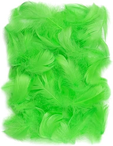 Netuno 150 Stück Flaum Federn Grün 10 g Natur Schmuckfedern zum DIY Basteln Dekoration für Ostern Weihnachten Figuren Dekofigur Karneval | 10 g · Flauschige Dekofedern für DIY Basteln Dekoration von Partys, Traumfänger, Masken