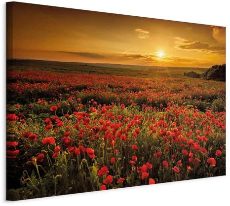 murando - Akustikbild Schallabsorber Landschaft, 120x80 cm, 1-teilig, Büro | Verbessert Raumakustik, reduziert Hall, ideal fürs Büro oder Wohnzimmer, hochwertige Verarbeitung, schnelle Montage, stilvoll