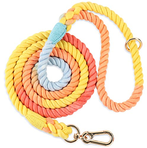 Nugutic Hundeleine, handgefertigt, geflochtenes Seil, für kleine, mittelgroße und große Hunde, 1,2 m, Regenbogen