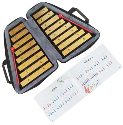 Dickly Xylophon mit 16 Skalen, Montessori, tragbares Koordinations-Xylophon aus Metall für Kinder, Handklopf-Klavierspielzeug für Familiensitzungen zu Hause