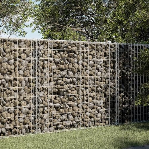 Keyroto Gabbioni Metallici Gabbione per Sassi Gabbioni Metallici per Pietre Gabbione in Rete Metallica Cesto Gabbione con Copertura in Ferro Zincato 100x50x100 cm