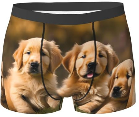 Golden Retriever Herren-Boxershorts, atmungsaktiv, atmungsaktiv, bequem, für das Fitnessstudio, Schwarz, Medium