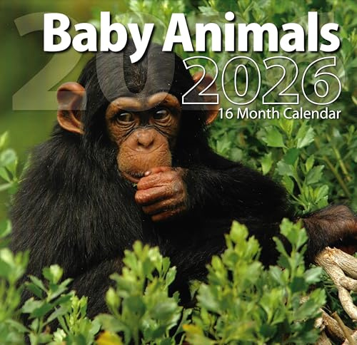 2026 Baby Animals Full Size Wall Calendar for Planning, Scheduling, and Organizing