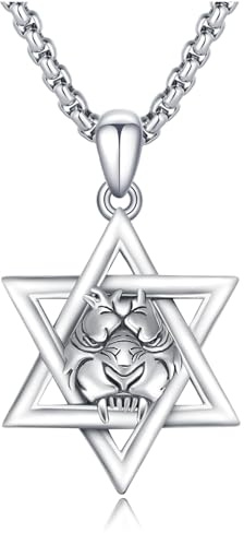 Davidstern Halskette Sterling Silber Davidstern Anhänger Halskette mit Löwe Davidstern Löwe Halsketten Löwenstern Davidschmuck Geschenke für Männer Frauen