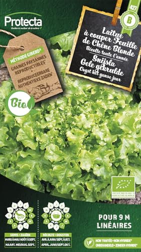 PROTECTA Semence Laitue Feuille de Chêne BIO