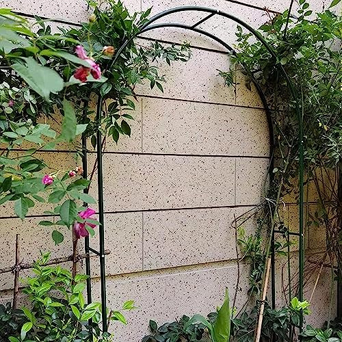 Arche de jardin en métal, treillis résistant aux intempéries pour plantes grimpantes, pergola, design en fer forgé, 120 x 220 cm, décoration de jardin verte