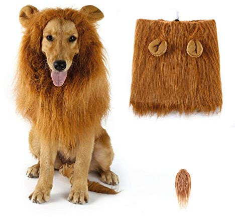 Sunreek Löwenmähne-Perücke, Löwen-Kostüm für mittelgroße bis große Hunde, mit Ohren und Schwanz, Halloween-Kostüm, für Fotoshootings & Partys