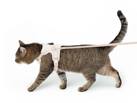 LucyBalu® Hello Kitty Explorer Kattsele med koppel I Rosa M/L
