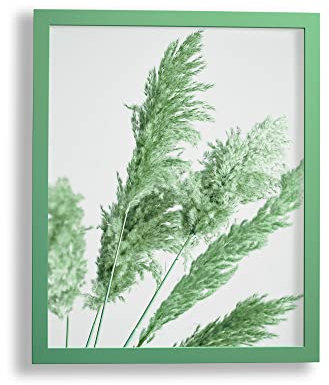 VO design Finn Premium Bilderrahmen Posterrahmen 38x98 cm Grün Froschgrün 98x38 cm mit weisser Rückwand und klarem Acrylglas