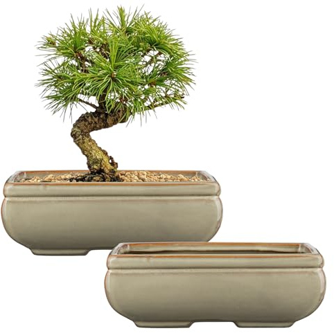 Oairse Set of 2 Bonsai Pots Shallow Succulent Planters for Live Bonsai Trees, 22cm/8.7 Ceramic Plant Pot for Indoor/Outdoor Succulents with Drainage Hole, Cactus Plant Pot, Brown Flower Pot