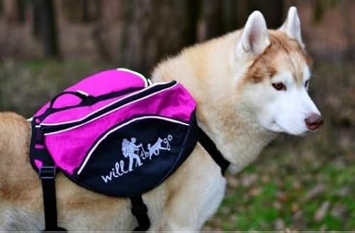 Will to go Hunderucksack und Geschirr 2in1 in Pink