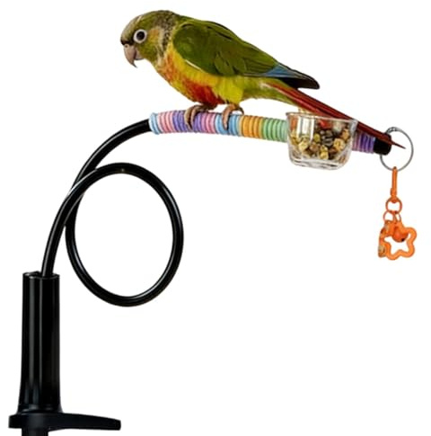 Generisk nymfpartisk sittstång | halkfri med klocka och matskål, kontursittstång stativ, för parakiter Conure oskiljbar undulat, ara, fodersökning, träning mot tristess, klättring