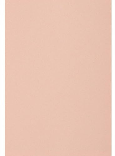 Generico 5 Fogli di Gomma Eva 40x60 cm - 2 mm per Torte e Decorazioni | Schiuma Eva PROGETTI ARTISTICI Artigianali FAI da Te Carta BRICOLAGE (Rosa carne (nudo))
