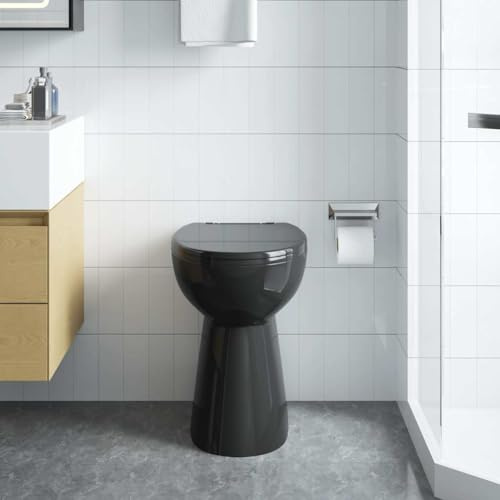 HUAKEHOM Randloses WC Keramik Schwarz 50,5x36,5x50 cm Komforthöhe Soft-Close-Sitz Badezimmer Tiefspüler Für