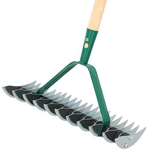 KOTARBAU® Scarificatore double face utile strumento per migliorare la qualità del prato nel vostro giardino