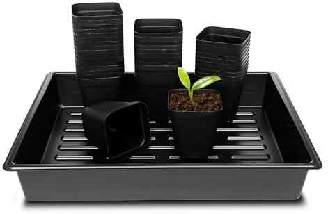 RooTrimmer 3.15 inch (8CM) Square Nursery Pots 100 pcs, Sturdy Seed Starter Trays 5 Pcs, Seeds Starting Germination Tray, Planter Nursery Propagation 5 Sets