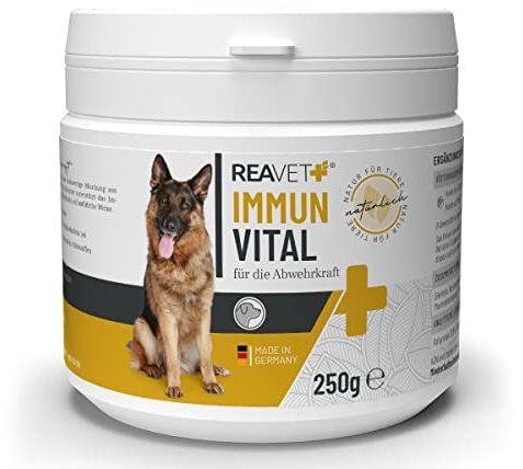 ReaVET Immun Vital für Hunde - Immunsystem & Abwehrkräfte stärken I Vitamine für Hunde, Aufbau Immunsystem, Nährstoffreich & mit Vitamin C, Mineralien, Multivitamin-Pulver 250g