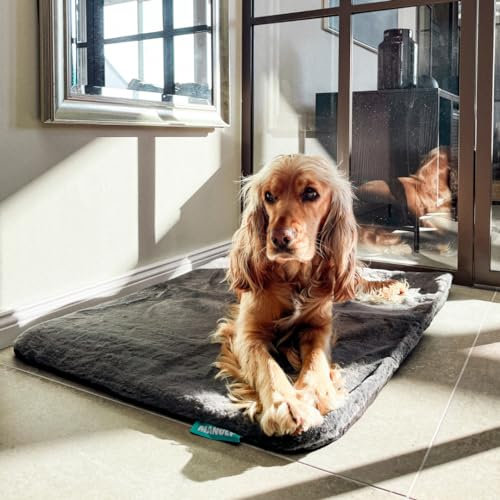Manuly Hunde Isomatte Set | Hundematte M (80x60x3,5cm) anthrazit Langhaar Bezug | Hundedecke für unterwegs | Hundedecke Out-& Indoor| Waschbar | Selbstaufblasbare Isomatte für Hunde | Reisebett Hund