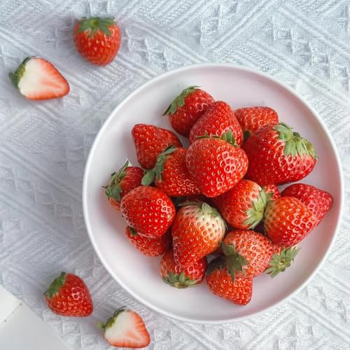 fragole semi di fragola biologici biologici, vecchie varietà di fragola per aiuole rialzate da appartamento, seme di aiuole rialzate, 500pcs