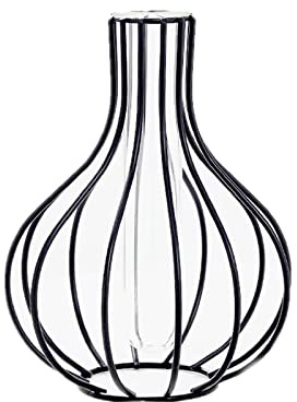 Nordic Simple Glass Clear Vase with Iron Art Frame for Hydroponic Planter, Metal Flower Vase Test Tube Pot Decorative Bottles Centerpieces for Wedding Home Décor (Black,Gourd)