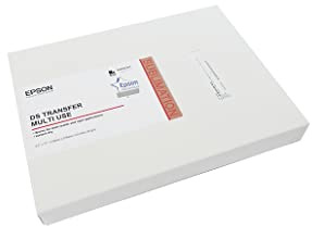 Epson Dye Sublimation S450361 Lot de 100 feuilles de papier transfert multi-usages 21,6 x 27,9 cm