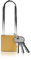 Lamondre Lucchetto 38mm, lucchetto con chiavi, lucchetto ad alta sicurezza per esterni, lucchetto per capannone, magazzino, garage, giardino, cancello