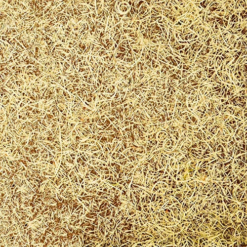Generico Tavoletta Base Foglio Paglia per Fondo Presepe 50x70 cm - Decorazione per Presepe - Base - Natale
