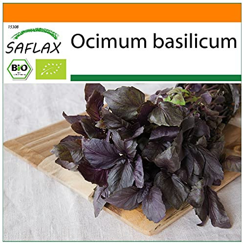 SAFLAX - BIO - Basilico Rosso - 400 semi - Ocimum basilicum