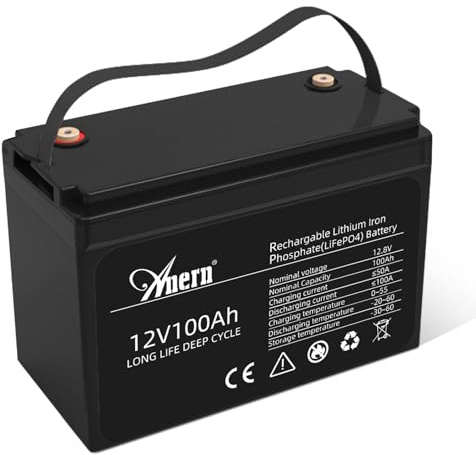 Anern Batteria Litio 12V 100Ah, Batteria Lifepo4 1280Wh con BMS 100A Fino a 15000 Cicli perfetto per il campeggio, l'accumulo di energia domestica solare, RV, Off-Grid