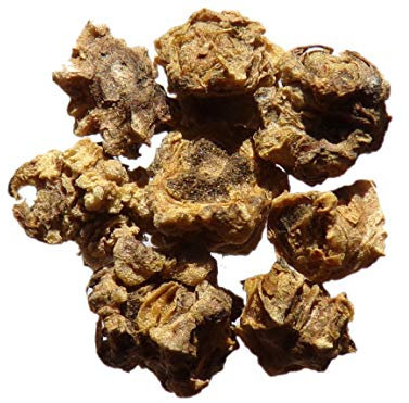 Betterave Fourragère Géante Rouge - 15 grammes - Beta Vulgaris - SEM20