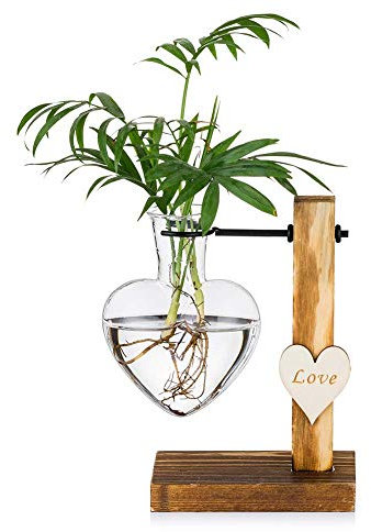 zalati Vaso in vetro a forma di cuore con supporto in legno per fioriere da scrivania, germogli, piante idroponiche, decorazione per casa, giardino, ufficio