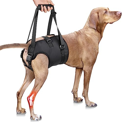 PZRLit Pettorina per Sollevamento Cani, Supporto Regolabile per Zampe Posteriori di Grossa Taglia, Aiuto per la Mobilità di Anziani, Gilet Assistente per Lesioni alle Articolazioni