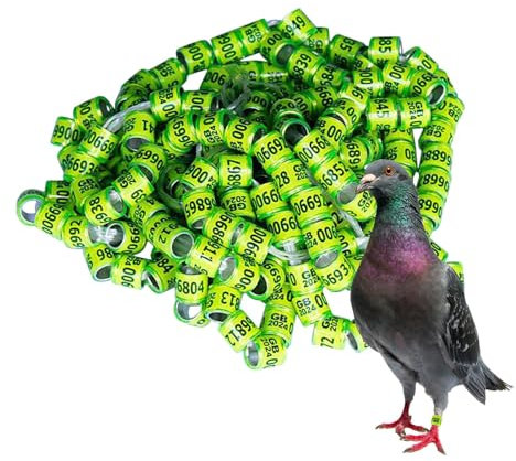 Generic 50Pcs Taubenbänder Ringe,Vogelbeinbänder 2024, Tauben Identifikation Öffnung Fußring, Sichere Taubenringe, Geflügelbeinband, Leicht zu Unterscheiden, Vogelfußringe, für Küken, Enten